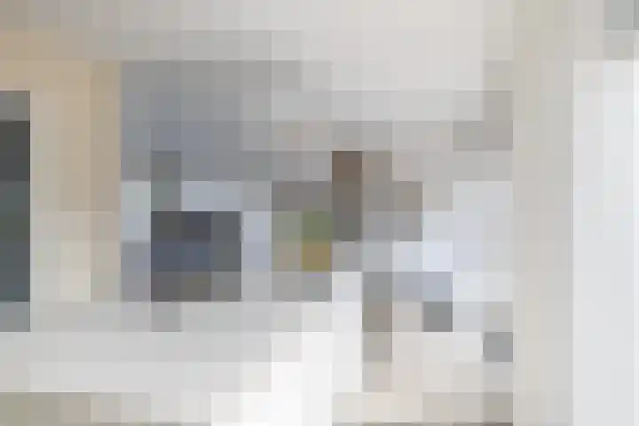 Deken Maeslaan 3 Prinsenbeek thumbnail 16