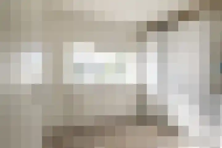 Deken Maeslaan 3 Prinsenbeek thumbnail 19
