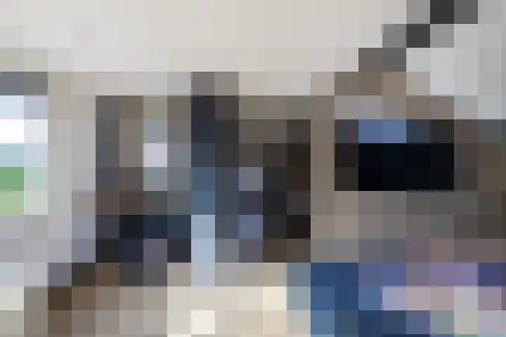Deken Maeslaan 3 Prinsenbeek thumbnail 25