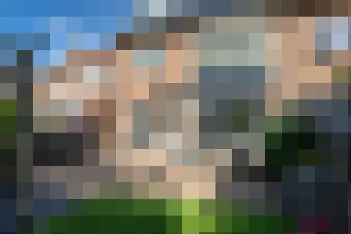 Deken Maeslaan 3 Prinsenbeek thumbnail 30