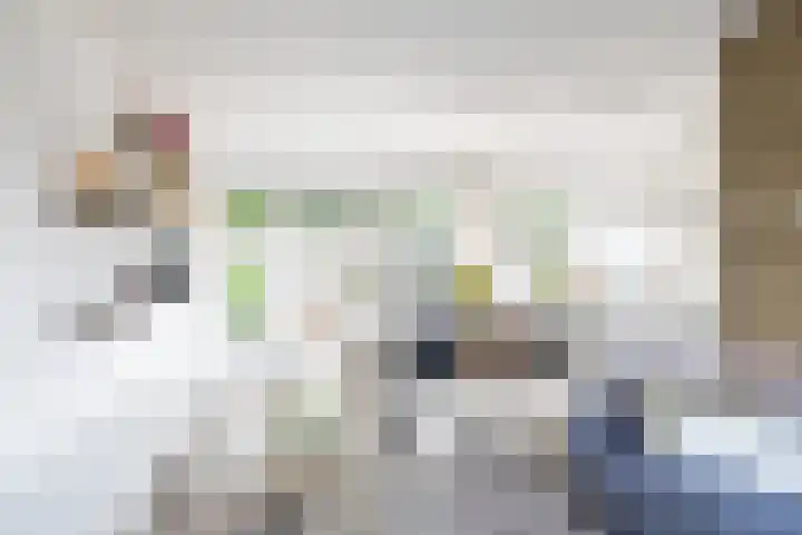 Deken Maeslaan 3 Prinsenbeek thumbnail 39
