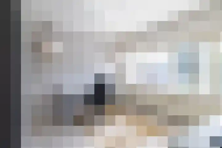 Deken Maeslaan 3 Prinsenbeek thumbnail 41