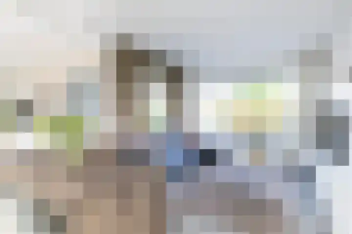Deken Maeslaan 3 Prinsenbeek thumbnail 46