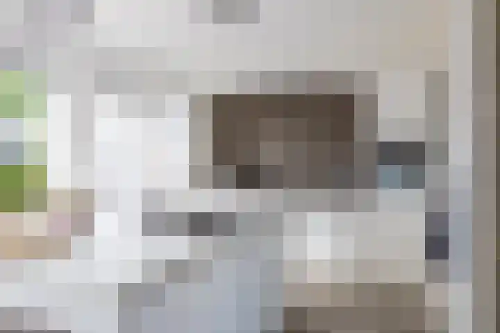 Deken Maeslaan 3 Prinsenbeek thumbnail 52