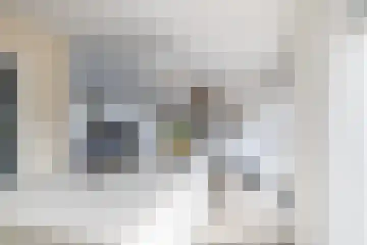 Deken Maeslaan 3 Prinsenbeek thumbnail 53