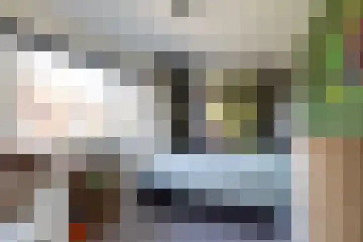 Deken Maeslaan 3 Prinsenbeek thumbnail 55