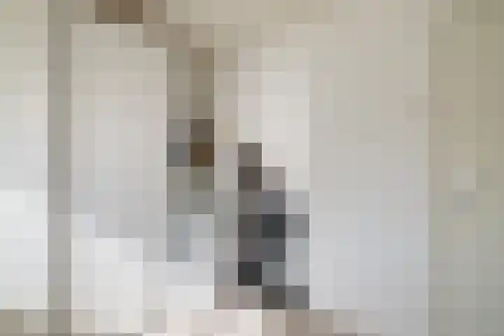 Deken Maeslaan 3 Prinsenbeek thumbnail 57