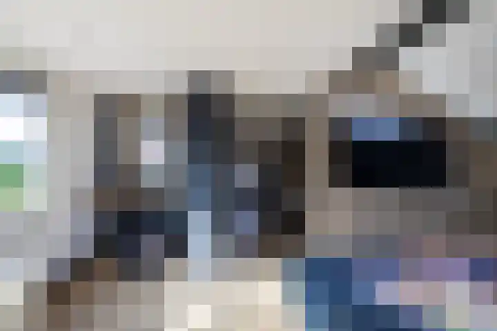 Deken Maeslaan 3 Prinsenbeek thumbnail 62