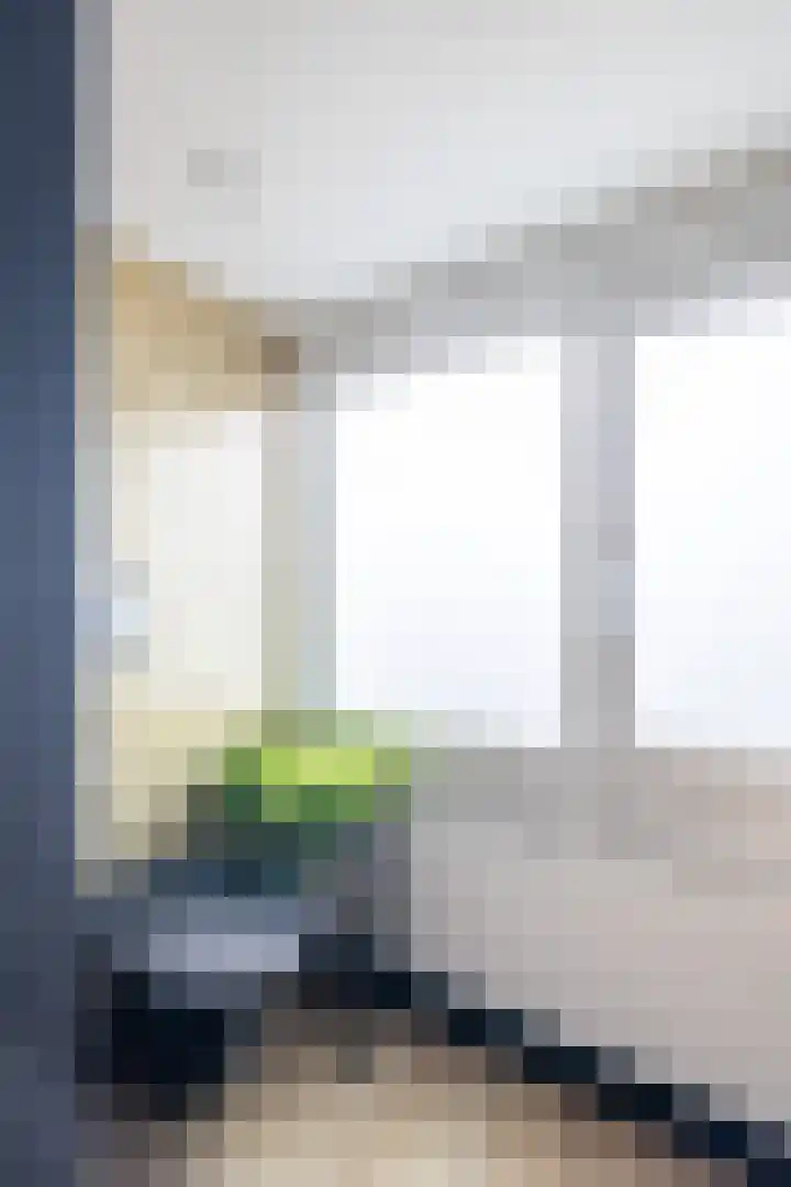 Deken Maeslaan 3 Prinsenbeek thumbnail 64