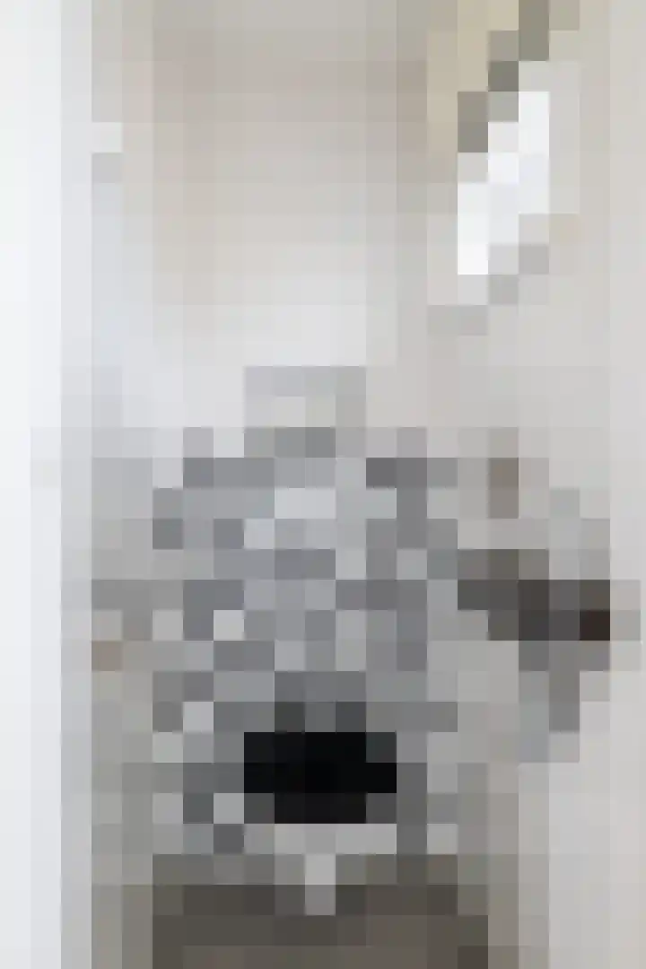 Deken Maeslaan 3 Prinsenbeek thumbnail 7