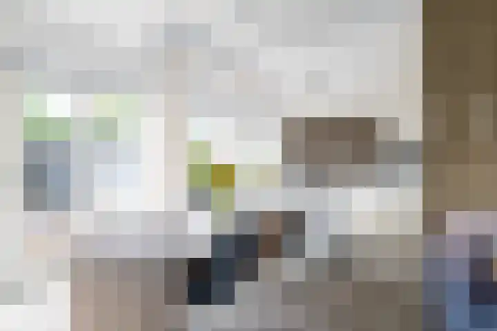 Deken Maeslaan 3 Prinsenbeek thumbnail 77