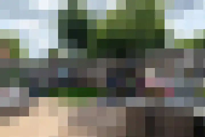 Deken Maeslaan 3 Prinsenbeek thumbnail 79