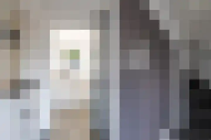 Deken Maeslaan 3 Prinsenbeek thumbnail 82