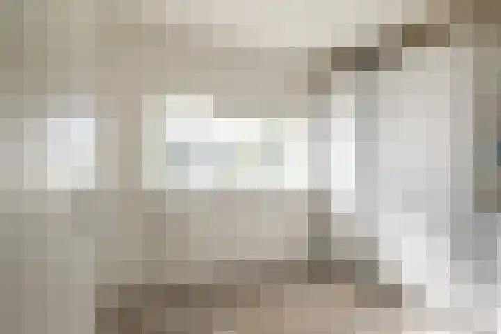 Deken Maeslaan 3 Prinsenbeek thumbnail 93