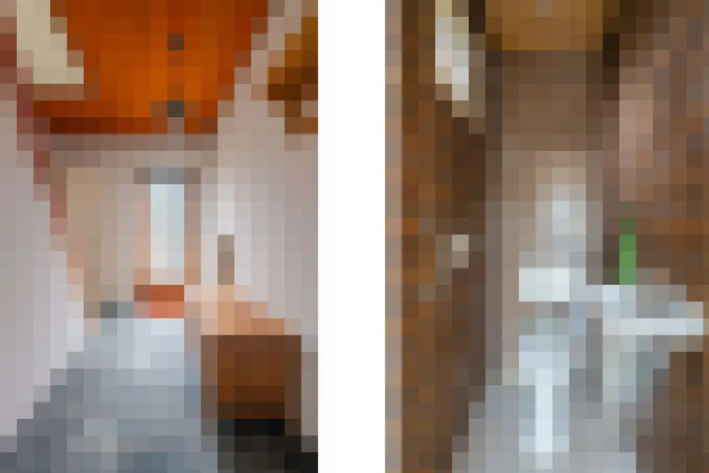 Deken Molmansstraat 1 Sint Anthonis thumbnail 17