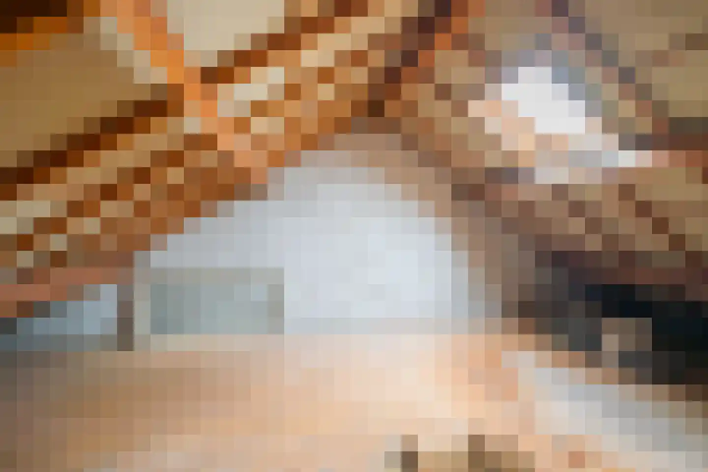 Deken Molmansstraat 1 Sint Anthonis thumbnail 25