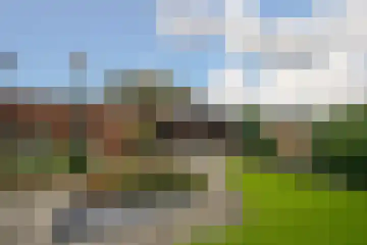 Deken Molmansstraat 1 Sint Anthonis thumbnail 27