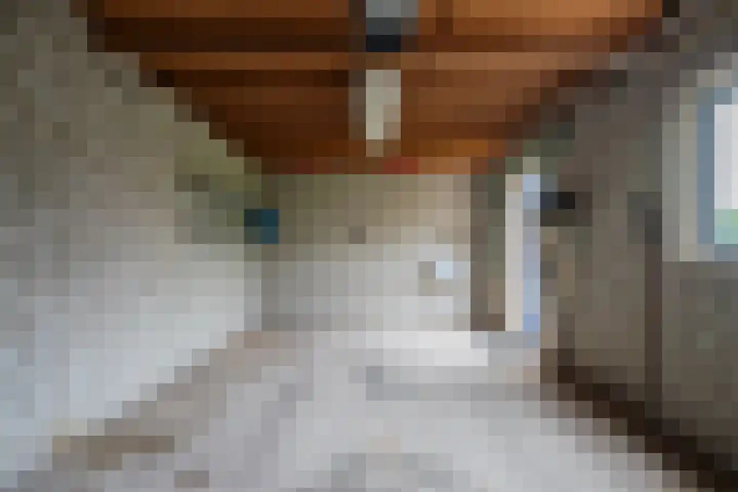 Deken Molmansstraat 1 Sint Anthonis thumbnail 35