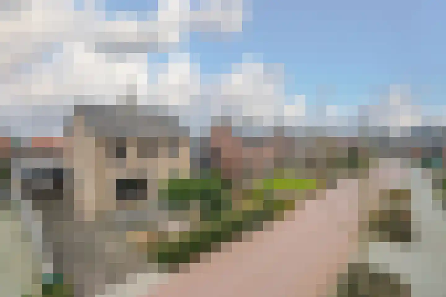Deken Molmansstraat 1 Sint Anthonis thumbnail 39