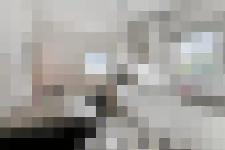 Deken Molmansstraat 35 Sint Anthonis thumbnail 8