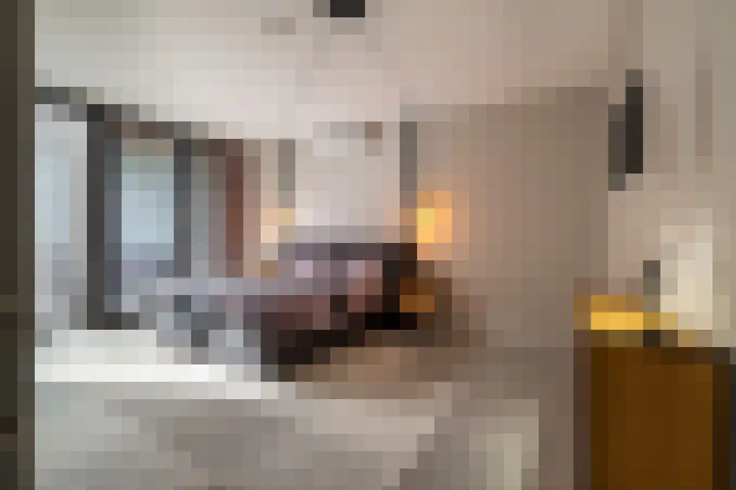 Deken Nicolaijestraat 24 Heerlen thumbnail 15