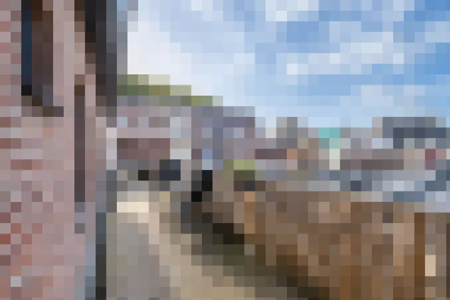 Deken Nicolaijestraat 24 Heerlen thumbnail 42