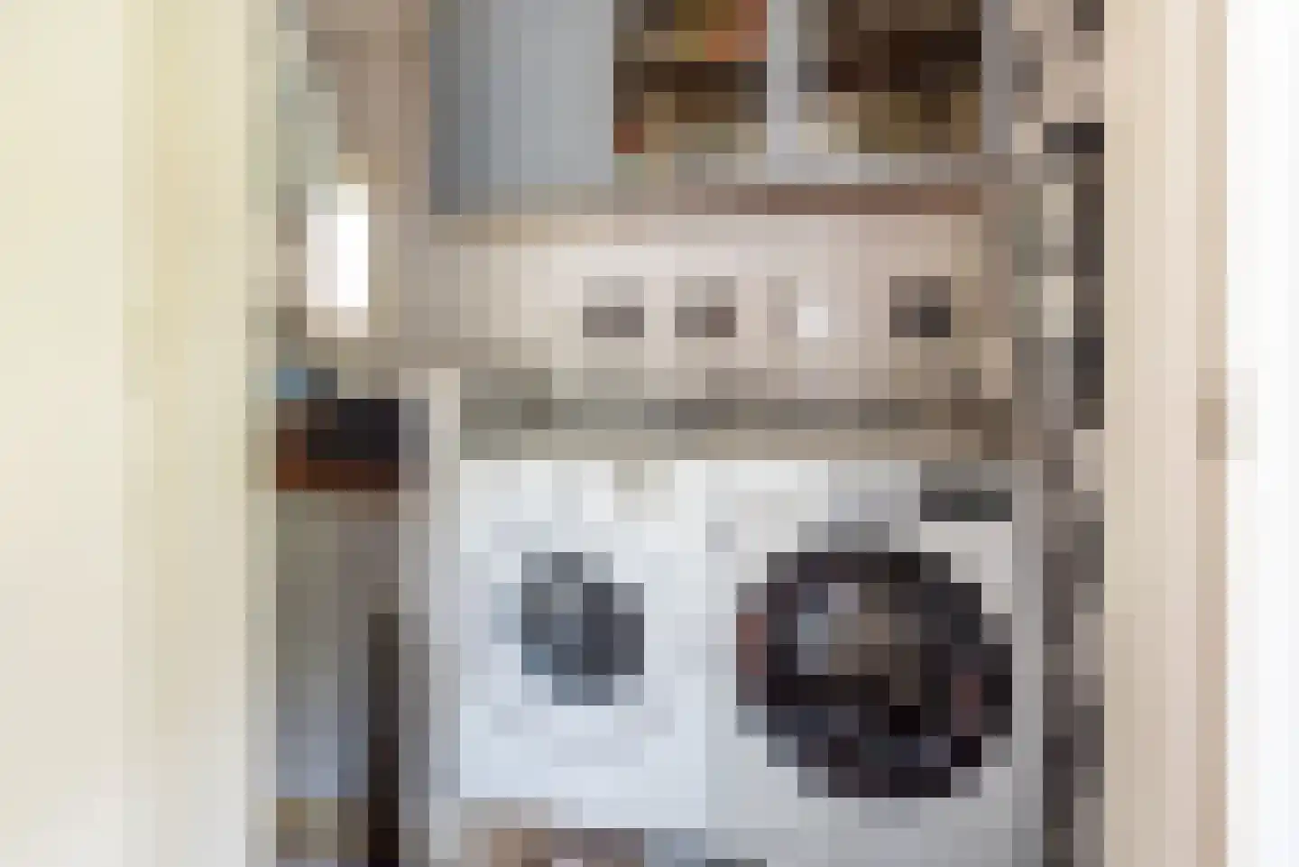 Deken Nijkampstraat 18 Ulft thumbnail 24