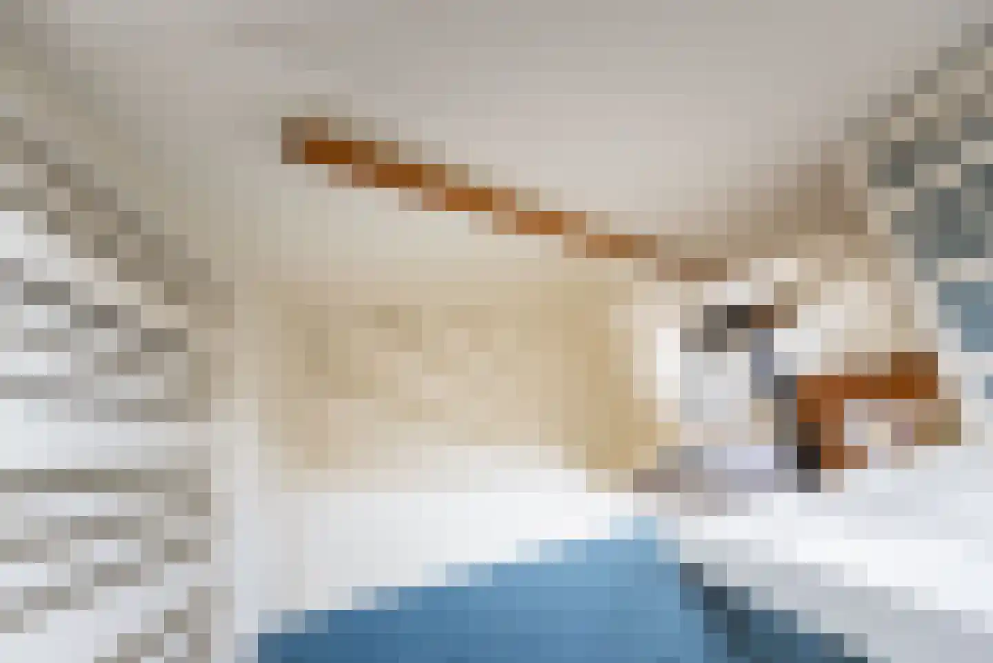 Deken Nijkampstraat 18 Ulft thumbnail 26