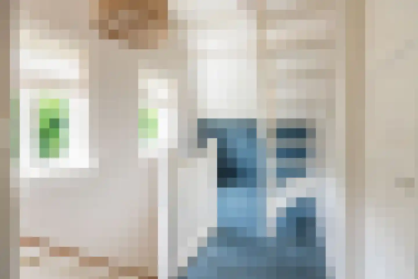Deken Nijkampstraat 18 Ulft thumbnail 28