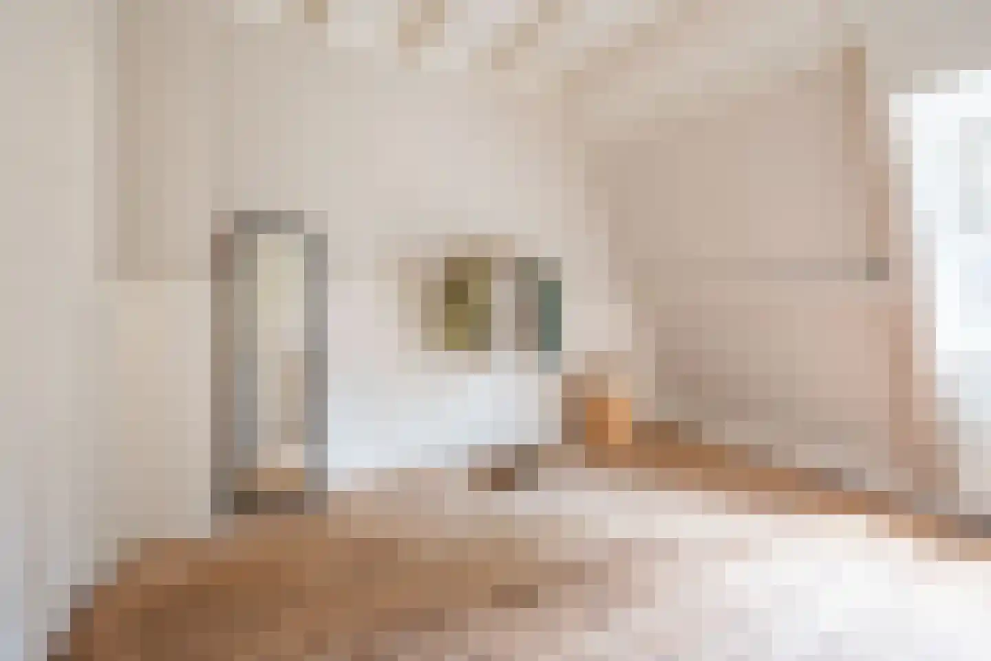 Deken Nijkampstraat 18 Ulft thumbnail 33