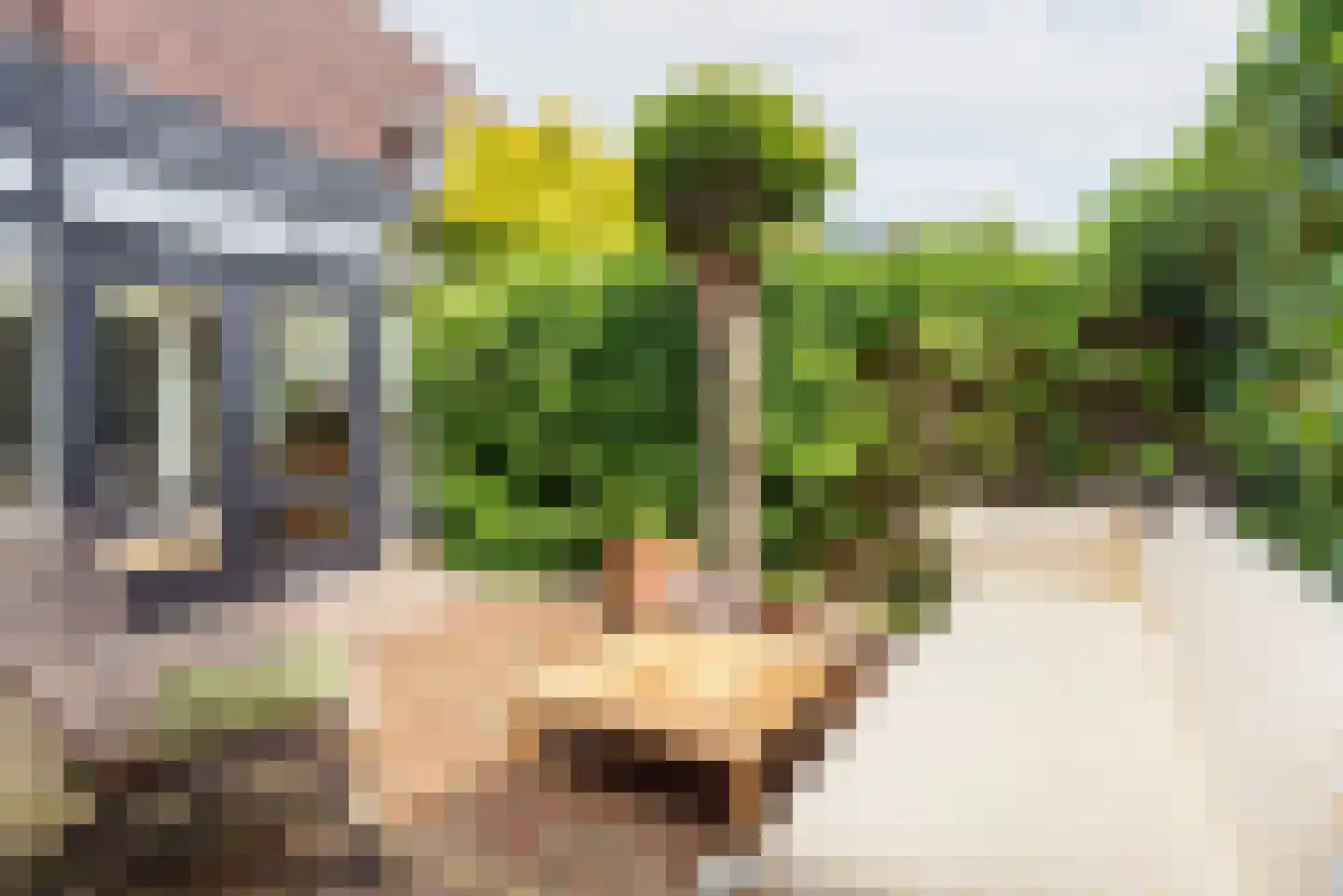 Deken Nijkampstraat 18 Ulft thumbnail 38