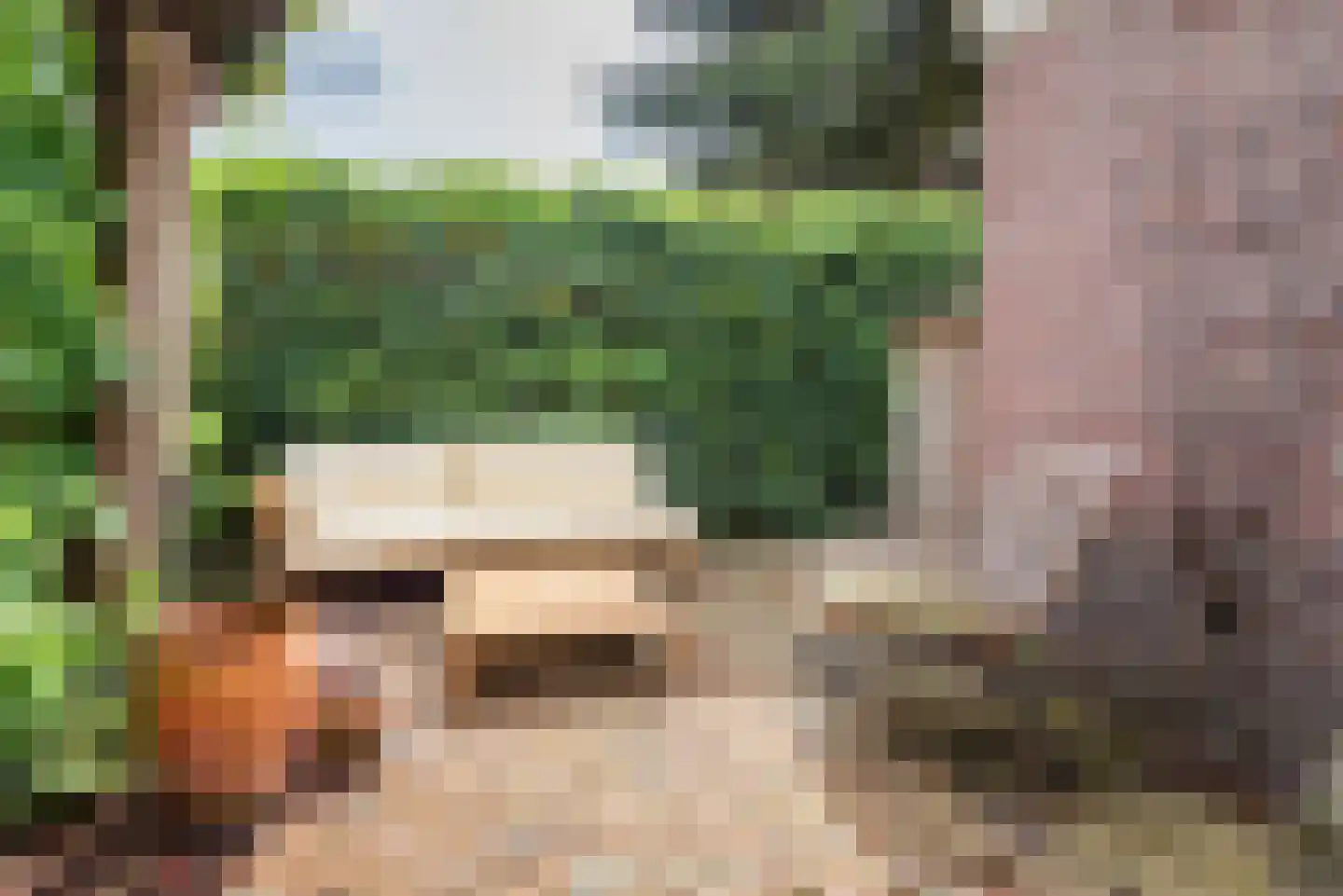 Deken Nijkampstraat 18 Ulft thumbnail 40