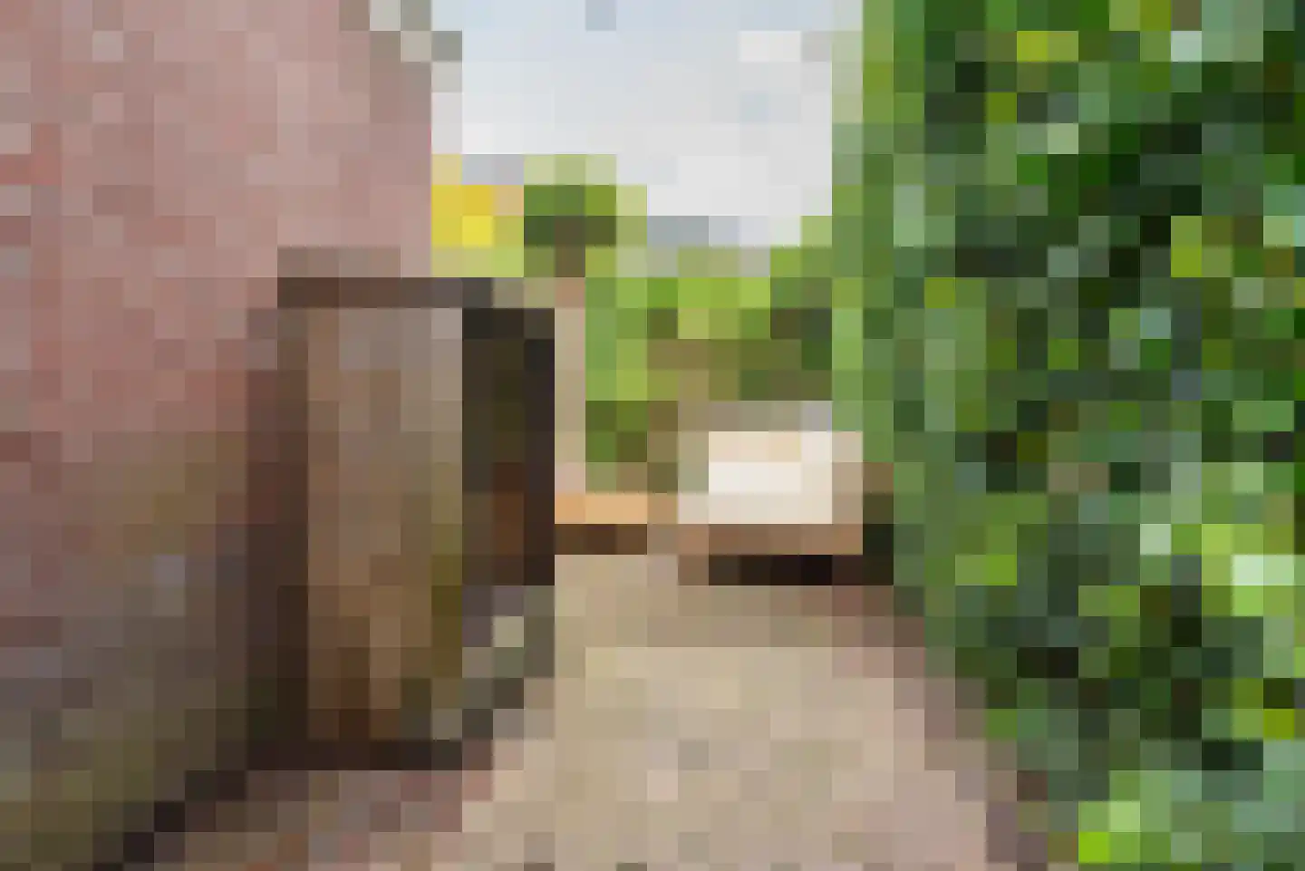 Deken Nijkampstraat 18 Ulft thumbnail 41