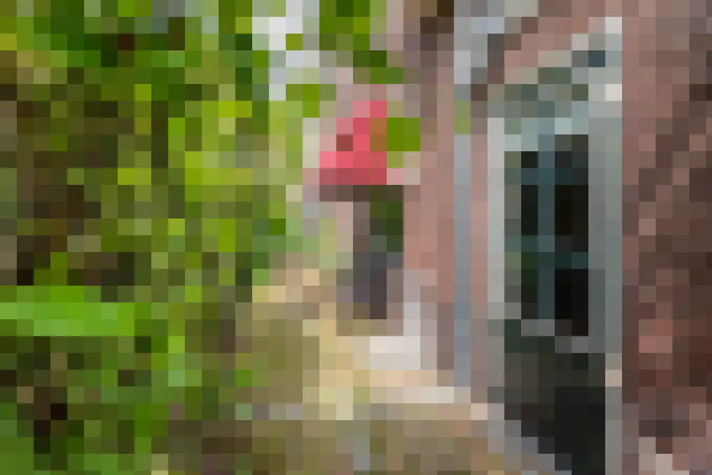 Deken Nijkampstraat 18 Ulft thumbnail 6