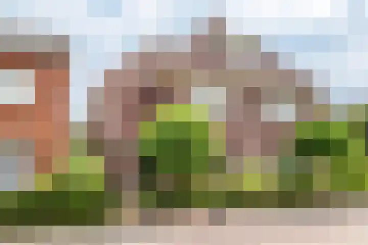 Deken Nijkampstraat 20 Ulft