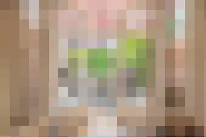 Deken Nijkampstraat 20 Ulft thumbnail 11