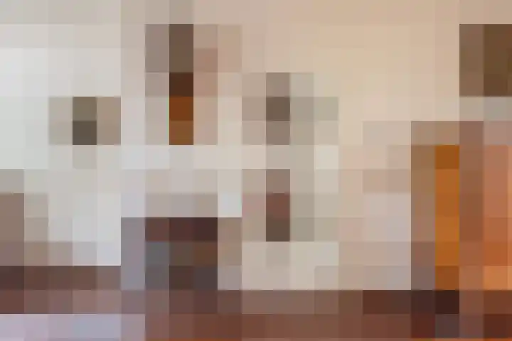 Deken Nijkampstraat 20 Ulft thumbnail 14