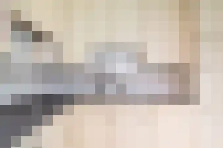 Deken Nijkampstraat 20 Ulft thumbnail 15