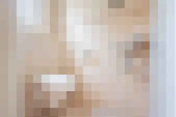 Deken Nijkampstraat 20 Ulft thumbnail 18