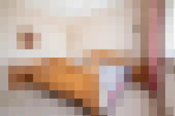 Deken Nijkampstraat 20 Ulft thumbnail 23