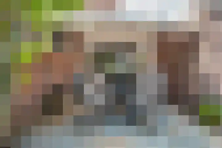 Deken Nijkampstraat 20 Ulft thumbnail 34