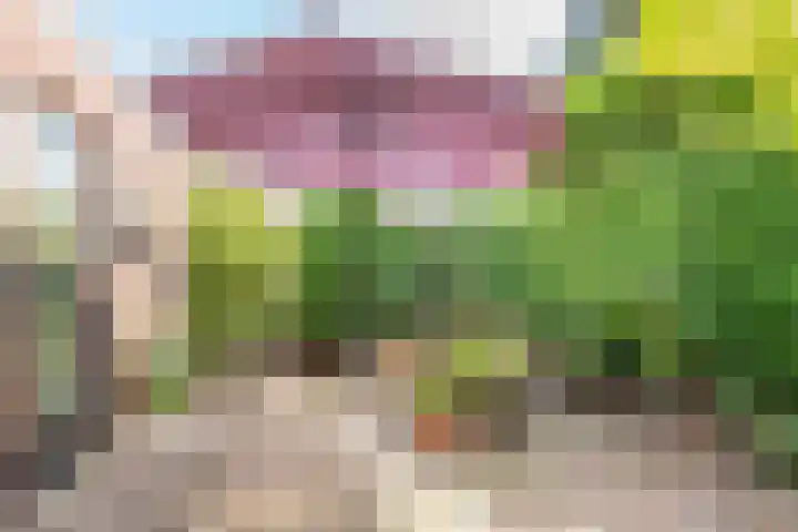 Deken Nijkampstraat 20 Ulft thumbnail 35