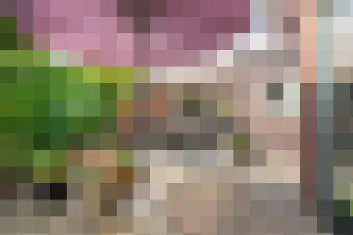 Deken Nijkampstraat 20 Ulft thumbnail 36