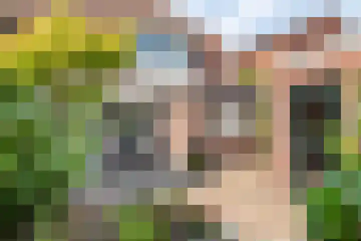 Deken Nijkampstraat 20 Ulft thumbnail 37
