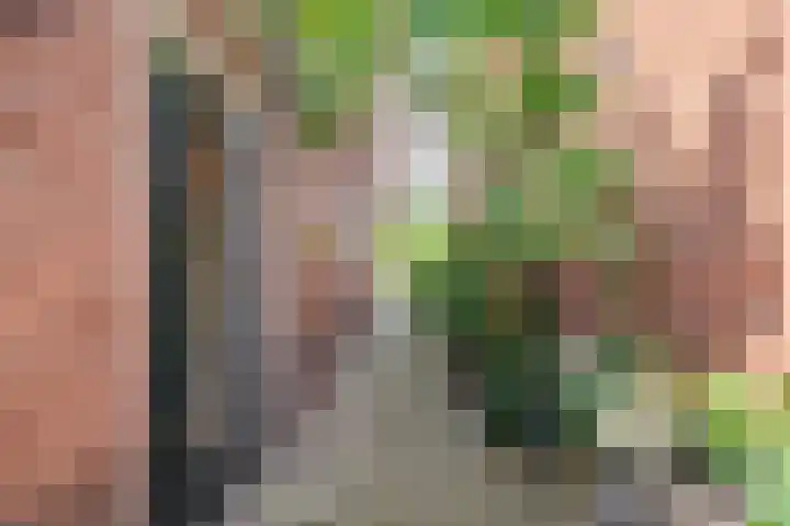 Deken Nijkampstraat 20 Ulft thumbnail 39