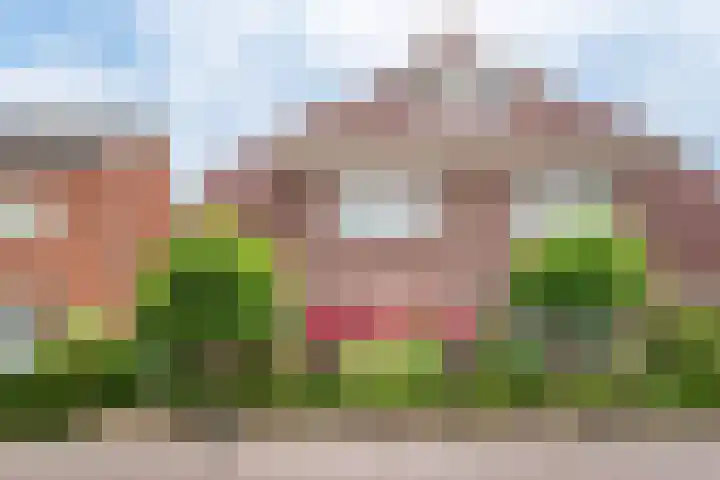 Deken Nijkampstraat 20 Ulft thumbnail 4