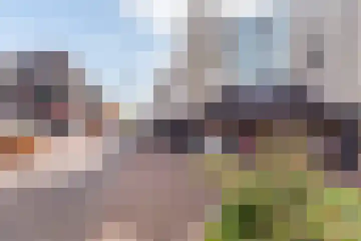 Deken Nijkampstraat 20 Ulft thumbnail 41