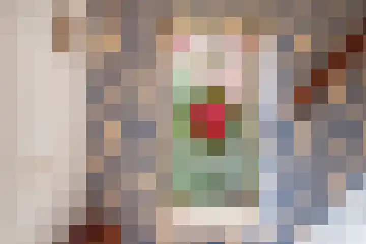 Deken Nijkampstraat 20 Ulft thumbnail 7