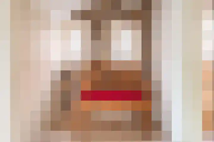 Deken Nijkampstraat 20 Ulft thumbnail 9