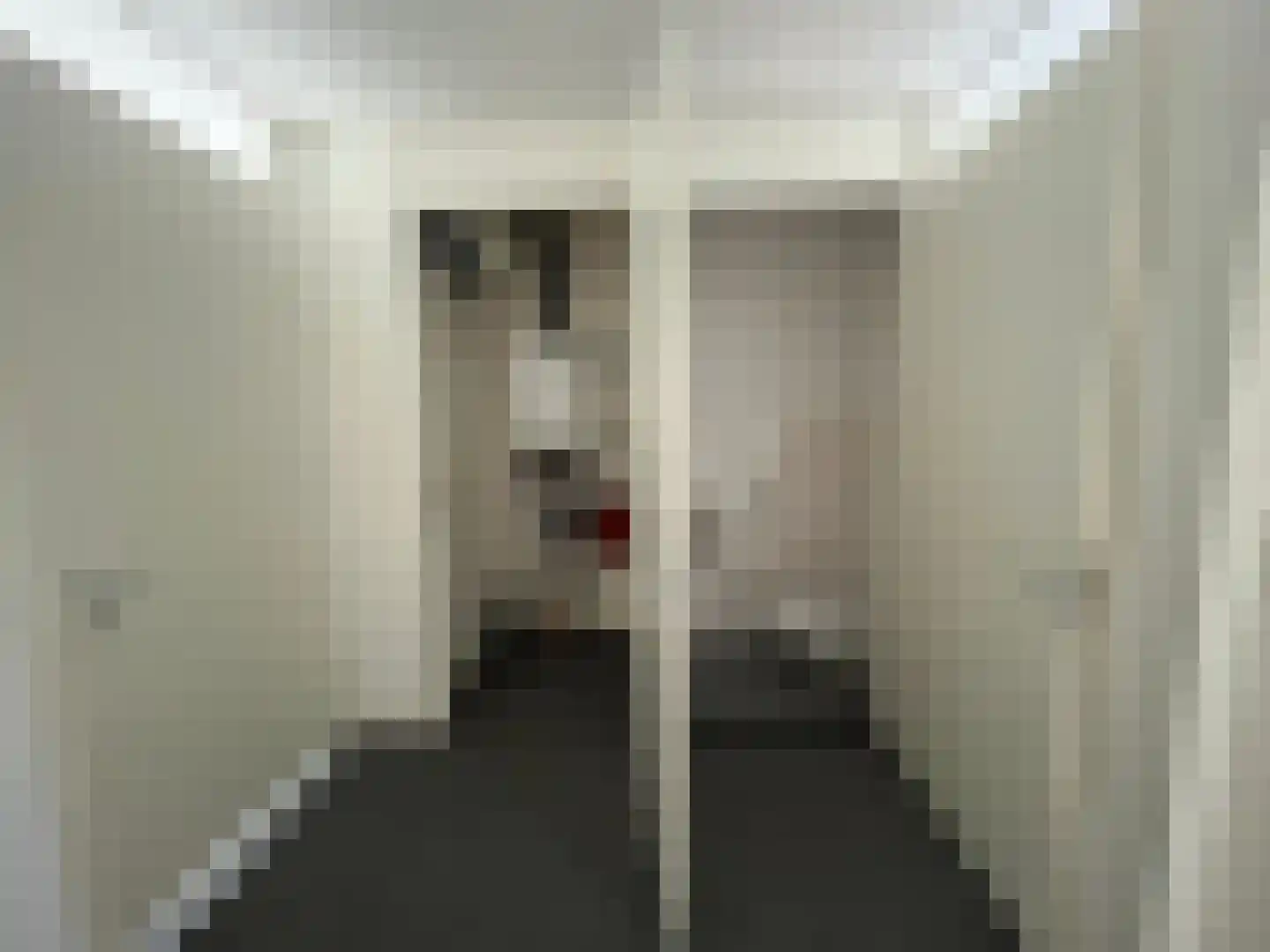 Deken Nijkampstraat 4 A Ulft thumbnail 18